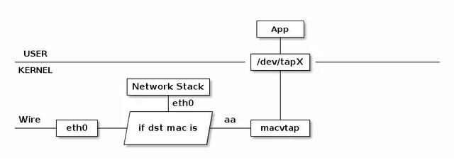 Giải thích chi tiết: Công nghệ ảo hóa mạng Linux